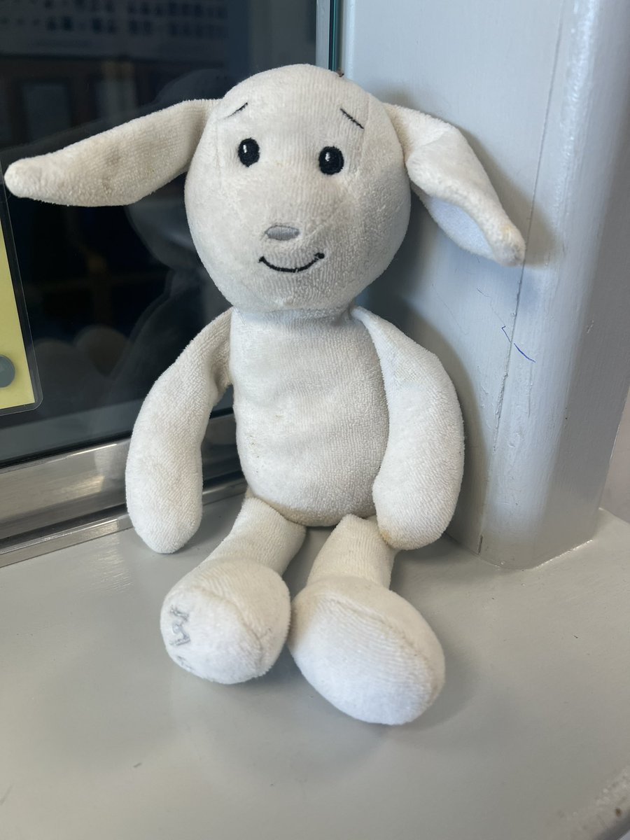 If anyone has lost a friend in the disco rush, they’re sitting nicely in the school office…