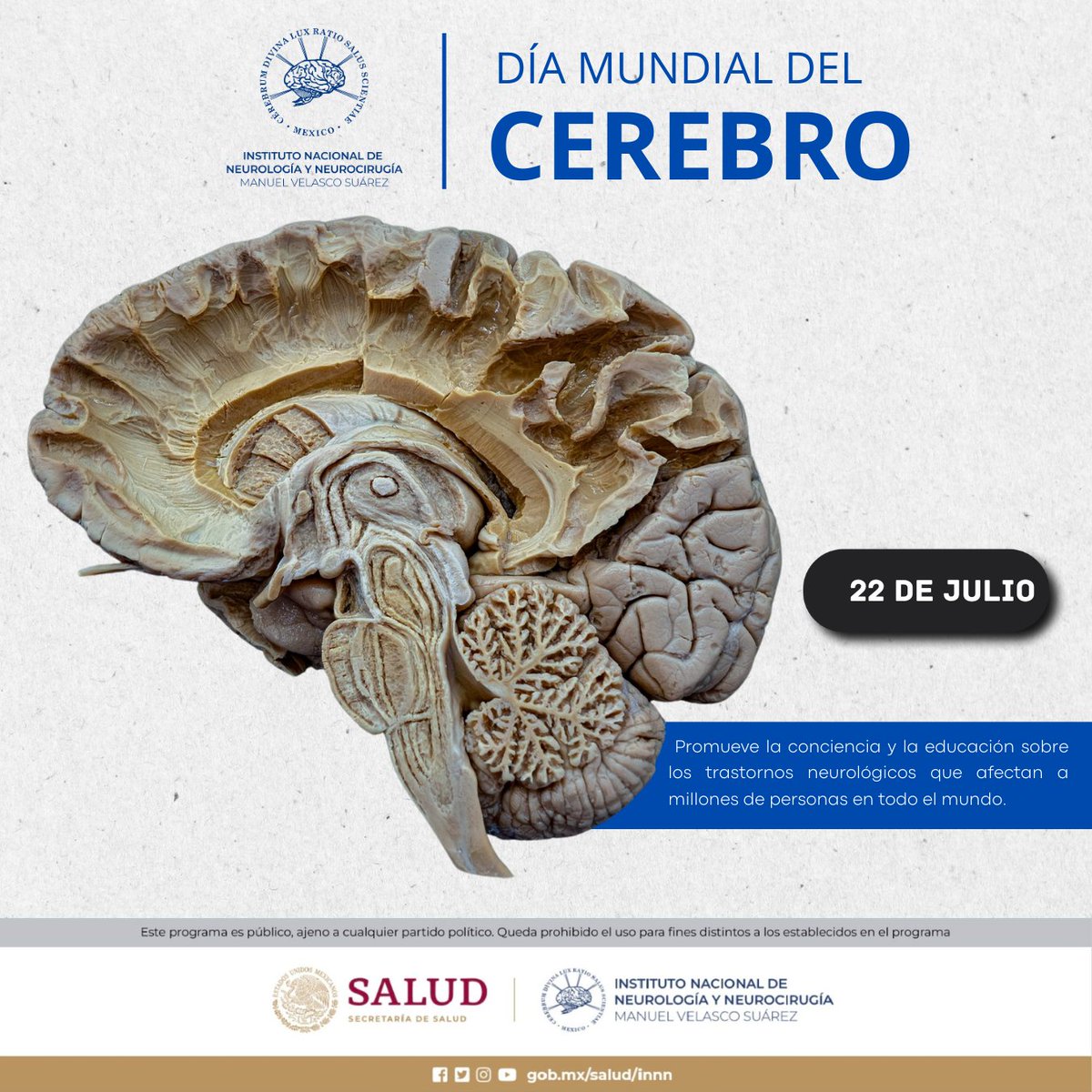 🗓️22 de julio | Día Mundial del Cerebro

Como institución encargada del estudio de las ciencias neurológicas y el cuidado de sus padecimientos, nos unimos a este día de concientización sobre el potencial, riesgos y cuidado del órgano más importante del sistema nervioso central.🧠