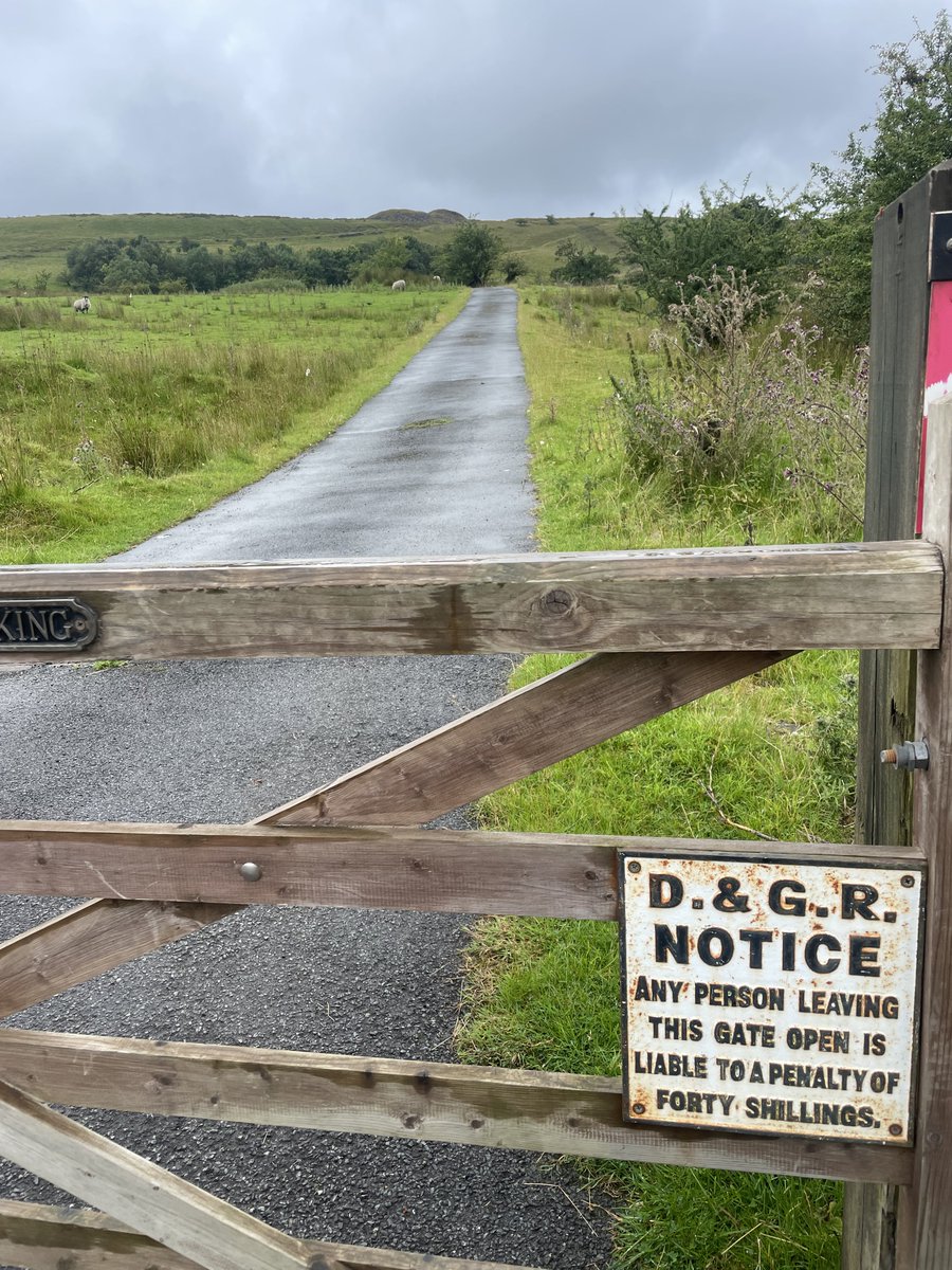 funnypenny's tweet photo. A miserly 3km today. 😕🥾 walk cut short. Toooo muddy, torrential rain and knee not happy in the damp weather. Ducked out for a nice tea 🫖 at Holden Wood Tea Rooms. ☺️The kilometres all add up though. 🙂
#holdenwoodreservoir #grane #walk100kminjulyfordementiaUK 💙🩵 https://t.co/M6wGYd1XjE