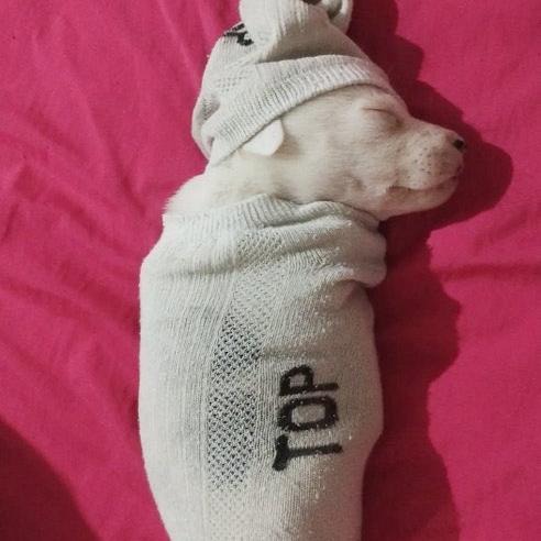 DanteRodgz's tweet image. Imagens do velorio do @concubinodd galera, #DescanseEmPaz