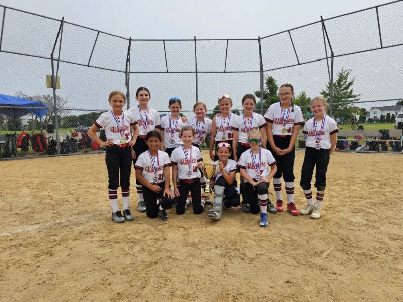 NAFA Fastpitch SB tweet media