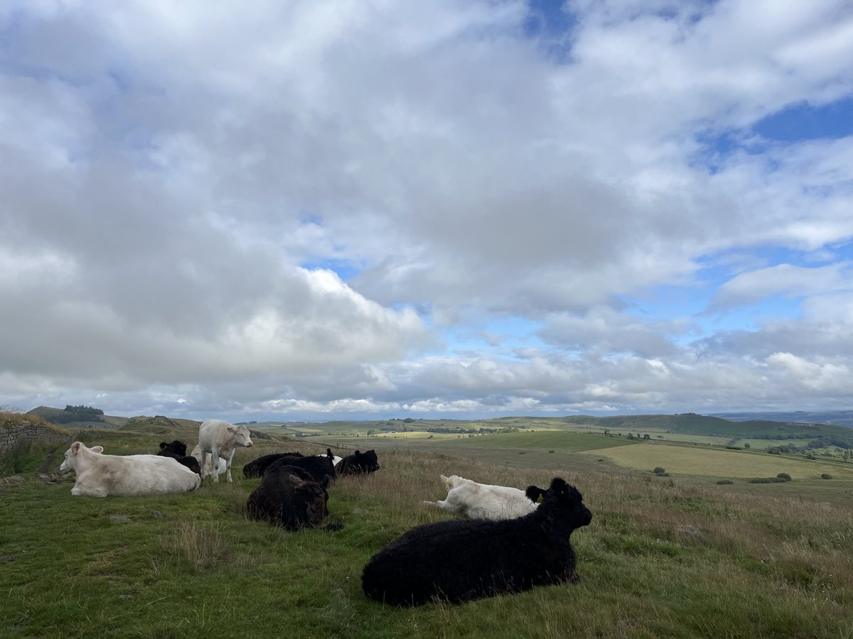 Petroc Trelawny tweet media