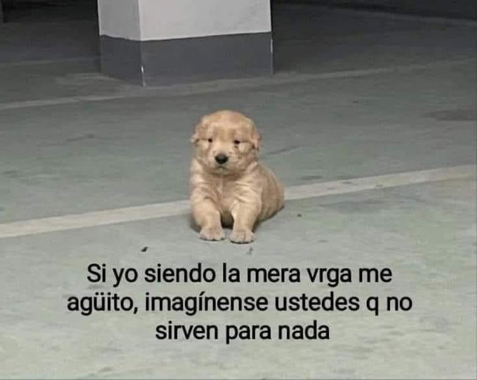 Guarriormantico's tweet photo. Imagínense! https://t.co/RJGwfgnj8v