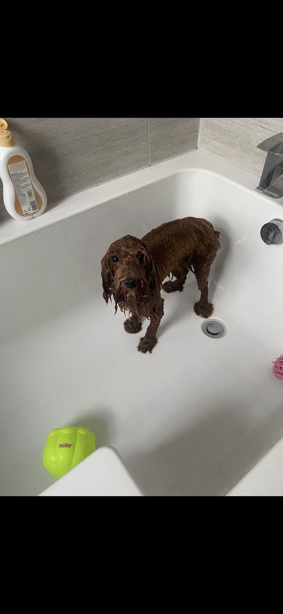 shaun partridge tweet media