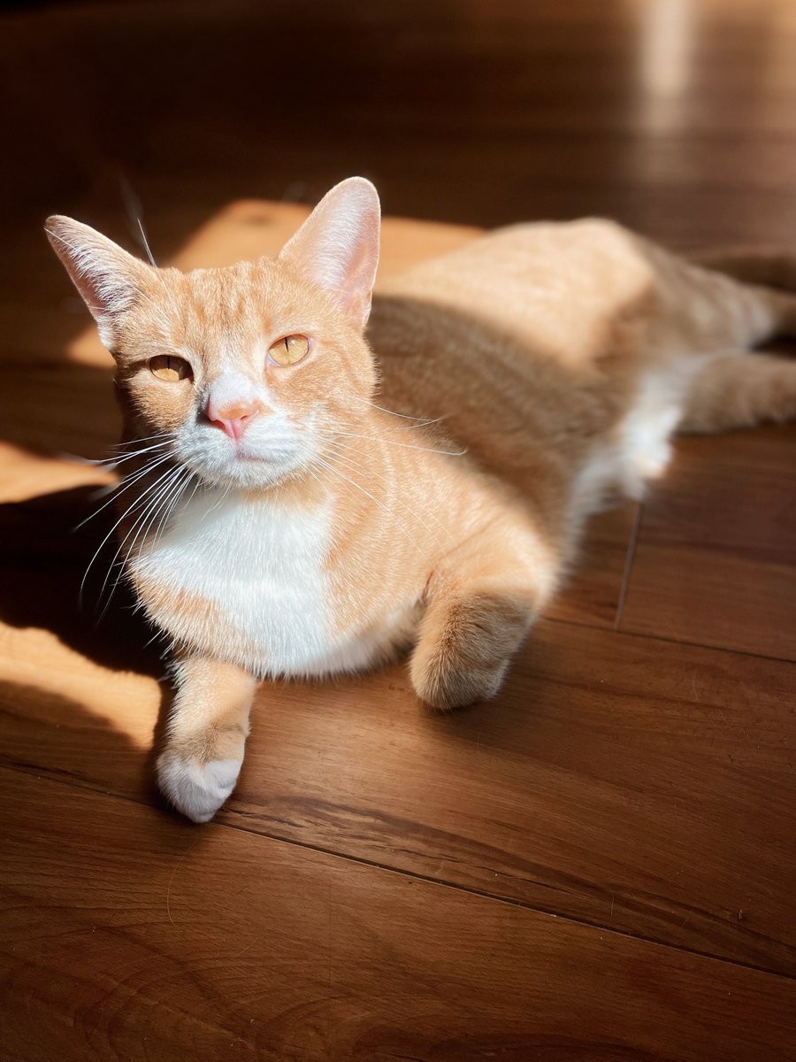 Wer'e just    two good Friends 
Looking each other in. The eyes !! 💕   Ok,