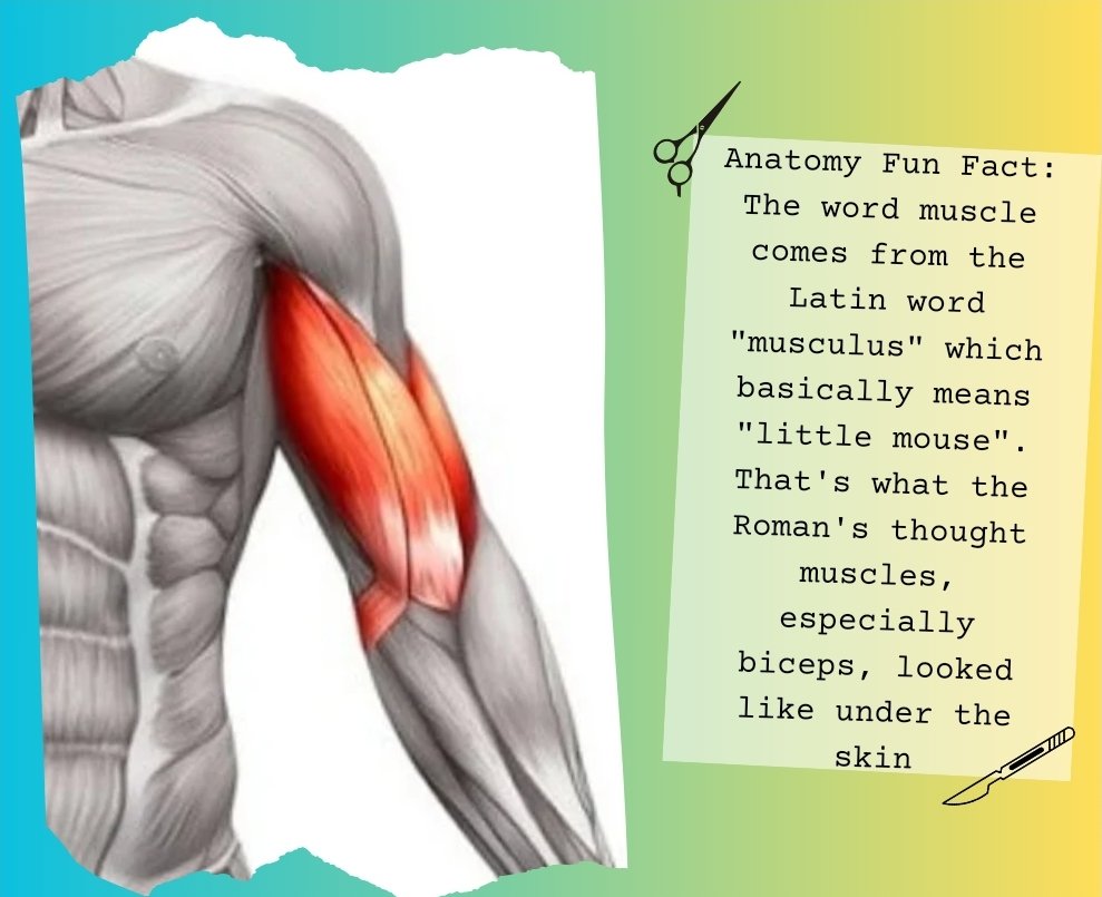 Canadianpatha tweet media