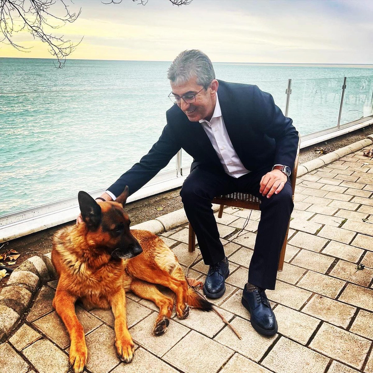 Tanrının heybesinden atladıkları sokaklarda, 15 yıllık ortalama ömürlerinin çoğu zaman 1/3’ünü tamamlayamazlar..
(Varsa) garip davranışları, (çoğu zaman) yaşadıkları travmalardan kaynaklanır; travmalarında insan izini, elini, ayağını, zehrini, silahını görürsünüz..
Kimsenin