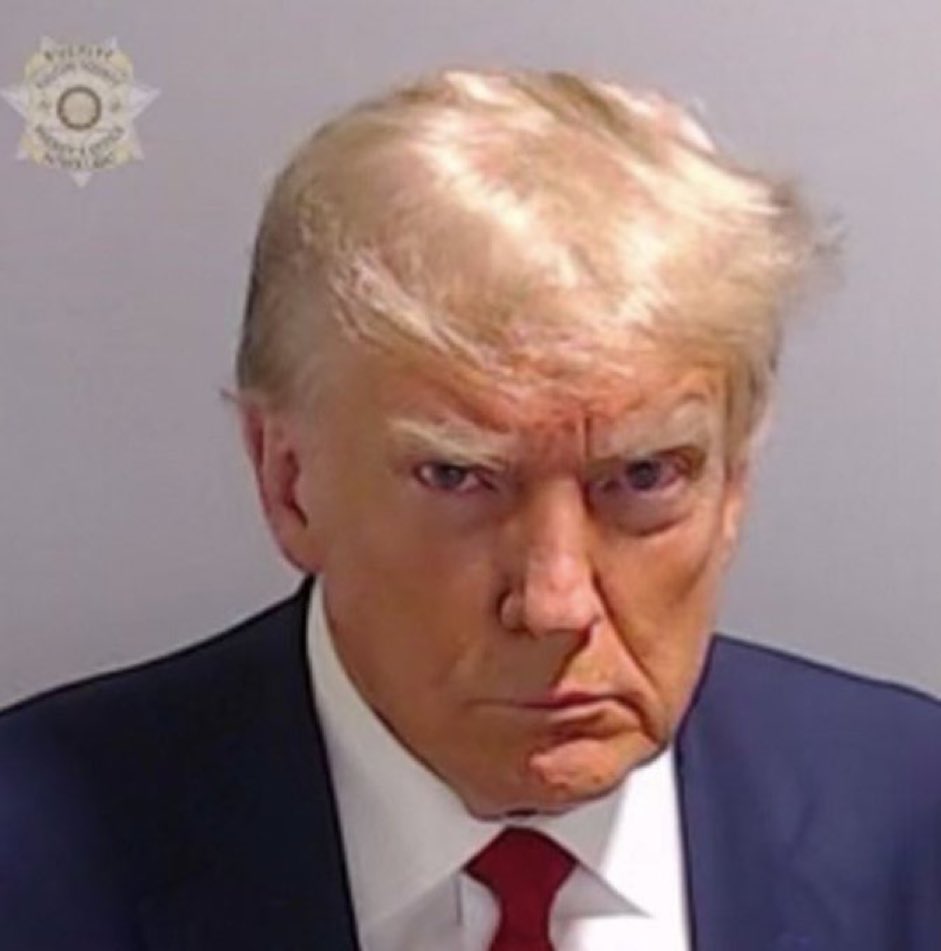 MisterSalesman's tweet photo. Nikki Haley: If Donald Trump is the Republican nominee, mark my words we will see a President Kamala Harris.

Nikki, where did you get such excellent foresight?

What matters: depravity matters, being a convicted felon matters, being a rapist matters, stealing top-secret government documents matters, and being a psycho matters.  

"Hard for me to support someone with no values, who lies, cheats, rapes, demeans women, and hates immigrants like me," Vinod Khosla, billionaire venture capitalist, said. "He may cut my taxes or reduce some regulations, but that is no reason to accept depravity in his personal values. Do you want a President who will set back the climate by a decade in his first year? Do you want his example for your kids as values?"  

Oh, snap, by golly, I do believe you forgot something—This man is a global bomb! Just look at that face.