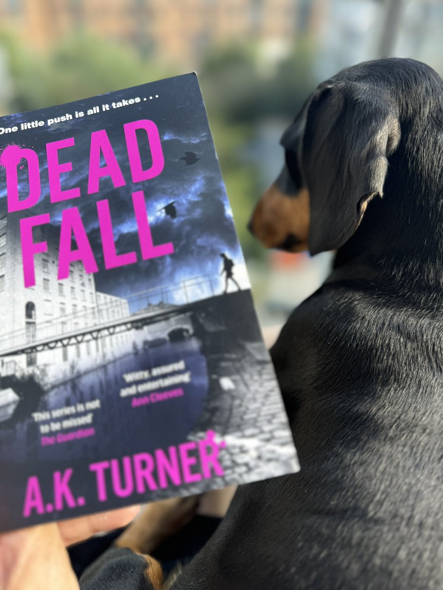 TheBlakeMara's tweet image. Great weather (finally).
Excellent company 🐾 (as always).
And a compelling read by the fab @AKTurnerauthor.
What could be better?

#amreading #DeadFall #bookaddict #CrimeFiction #cassieraven
@ZaffreBooks