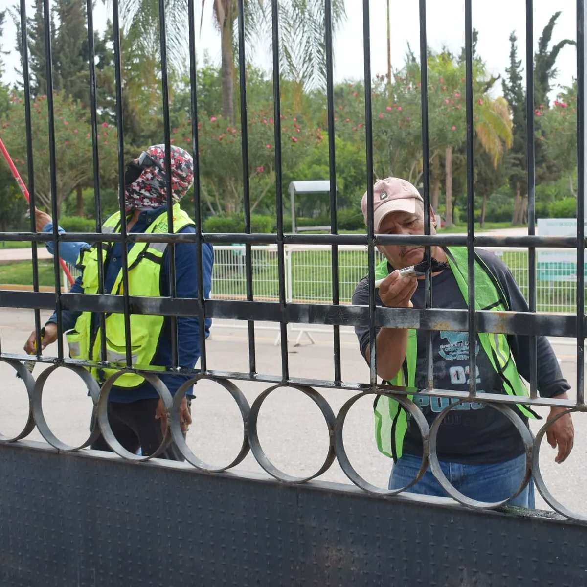 🌳 En el Bosque Urbano trabajamos para darte las instalaciones que tú y tu familia merecen 👪 

Aplicamos pintura en portones de acceso a las instalaciones 👷‍♂️

#TorreónSiemprePuede 💪