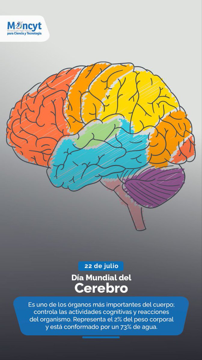 Infocentros Lara tweet media