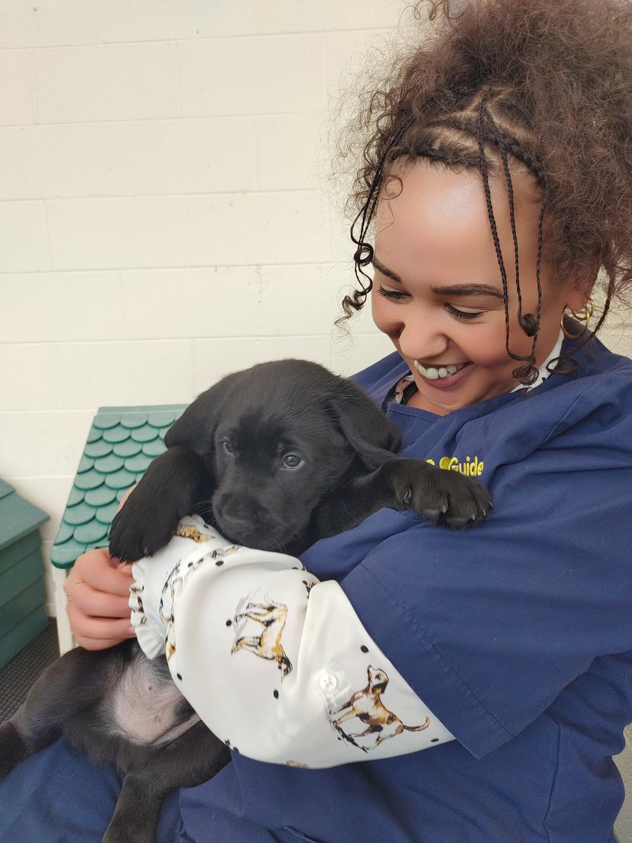 ᴰʳ Bushra (she/her) 🇵🇸 🇪🇺 (@bushybio) on Twitter photo I love my new job!!
I am beyond thrilled to be applying my #PhD research to help these very important <a href="/guidedogs/">Guide Dogs</a> puppies with <a href="/BIOME9_/">BIOME9</a> 🥹
#NewJob #Microbiologist #CanineResearch I love my new job!!
I am beyond thrilled to be applying my #PhD research to help these very important <a href="/guidedogs/">Guide Dogs</a> puppies with <a href="/BIOME9_/">BIOME9</a> 🥹
#NewJob #Microbiologist #CanineResearch