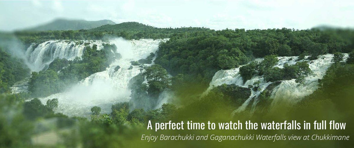 CHUKKIMANE's tweet photo. 🌧️Experience Monsoon Magic at ChukkiMane! 🌿
Discover Gaganachukki &amp; Barachukki waterfalls, lush greenery, and thrilling bullock cart safaris.  
Book now for an unforgettable monsoon escape! 🏞️💦
#ChukkiMane #MonsoonMagic #WaterfallWonders #TravelKarnataka https://t.co/bTgkx9fFSD