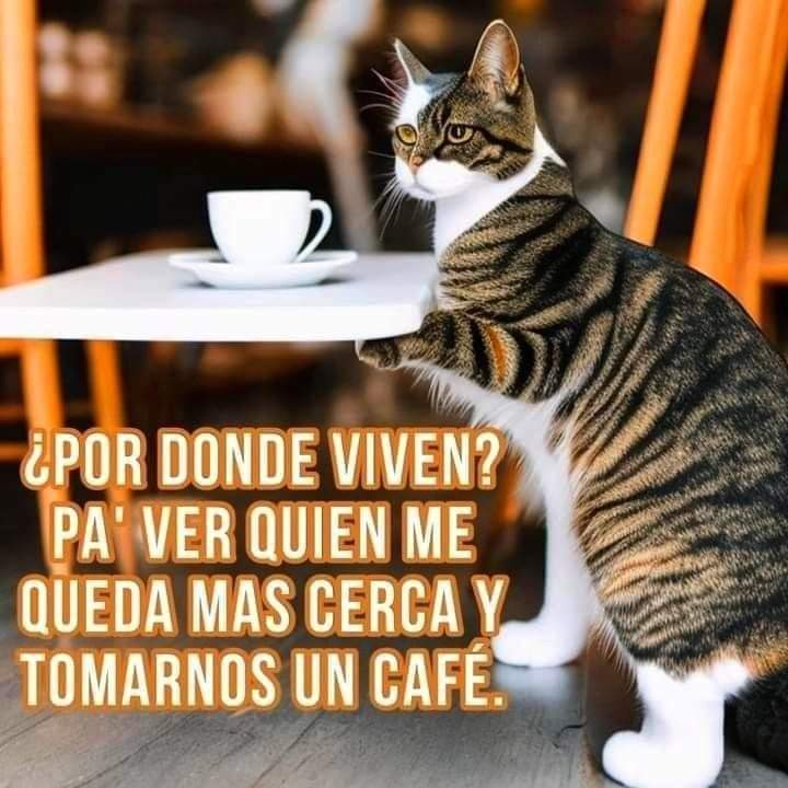 Manden ubicación amigos!!! 😸😸🐾🐾
