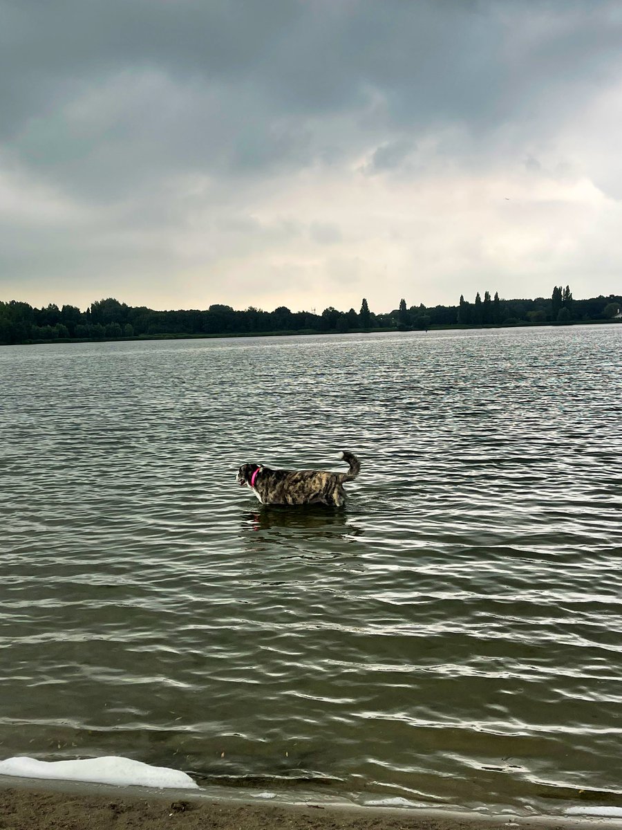 The Goddess Style tweet media