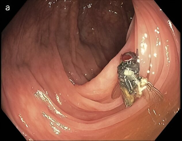 Creepy.org tweet media