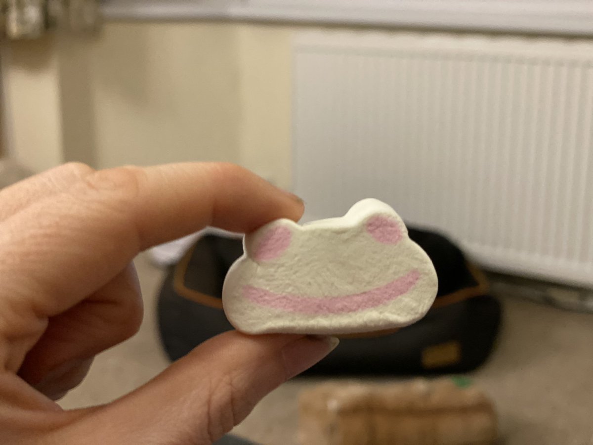 304__ETH's tweet photo. I had to go out in the rain and buy some marshmallow frogs 🐸 https://t.co/vj4s2F6jNe