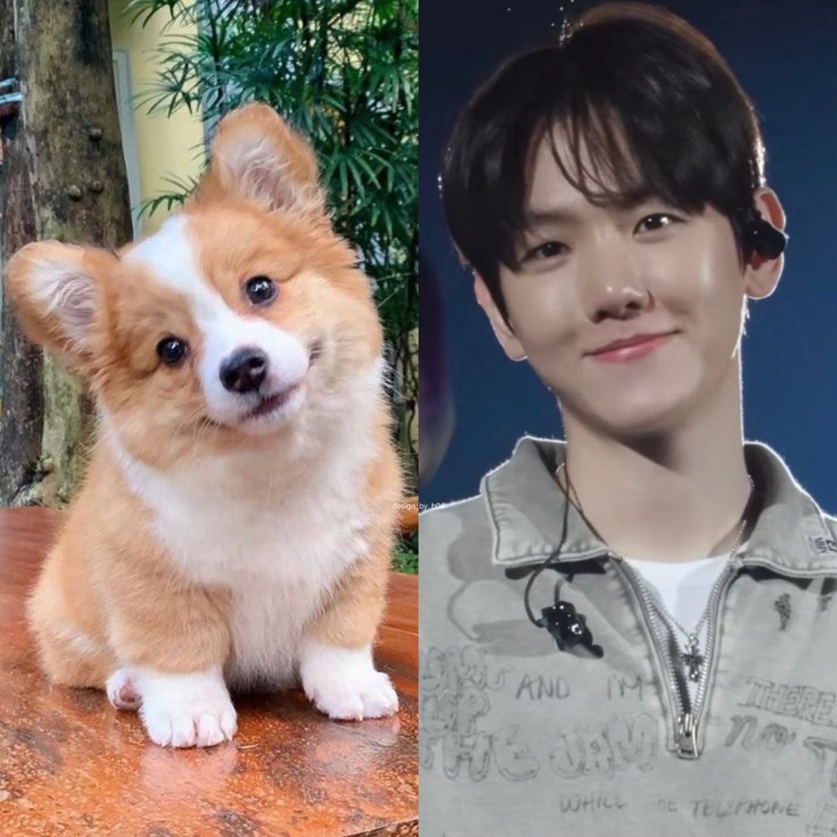 design_by_b04's tweet photo. 까꿍 🐶 https://t.co/4NnjnBGLUN