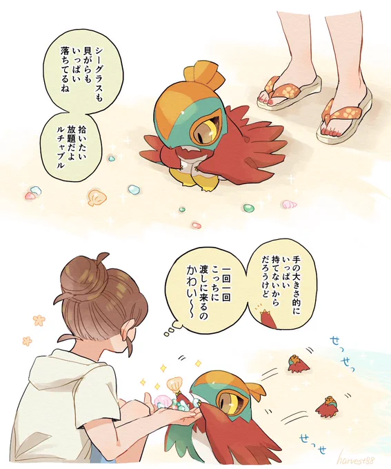 夏の宝物探しシリーズその2(赤ちゃんルチャチャ) 