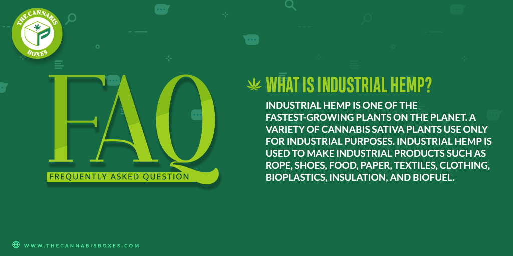 customboxinc's tweet image. What Is Industrial Hemp?🌿
☘️Industrial hemp is one of the fastest-growing plants on the planet🌍. A variety of Cannabis sativa plants use only for industrial purposes. .🎍
.

.

.
#Hempboxes #hemppackaging #custompackaging  #custompackagedesign #TheCannabisBoxes