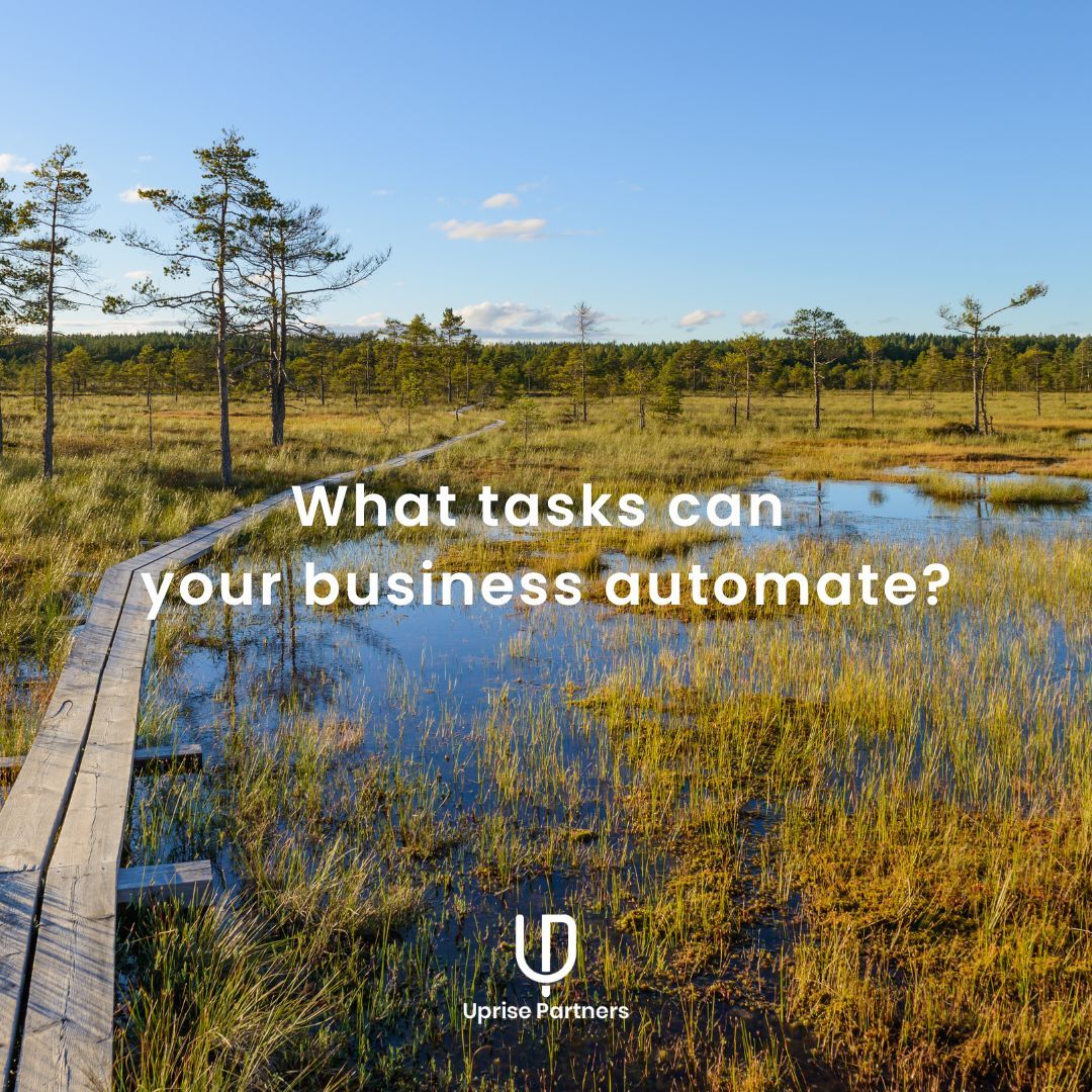 UprisePartners's tweet image. SMB tasks that can be automated  🤖

Payroll &amp;amp; onboarding
Sales
Scheduling
Accounting
Reporting
Client communication

#businessautomation #efficiency #smbsuccess #techsolutions #uprisepartners #automation #techsupport #bethelmaine #portlandmaine #tampaflorida