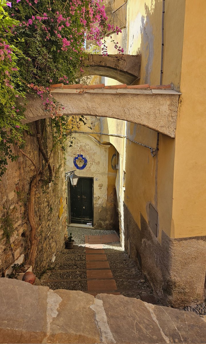 Miran2106's tweet photo. Met dank aan @ItalRosa een bezoek gebracht aan het prachtige Middeleeuwse stadje Cervo  #bloemenriviera #Italië https://t.co/tEhXKuaxqC