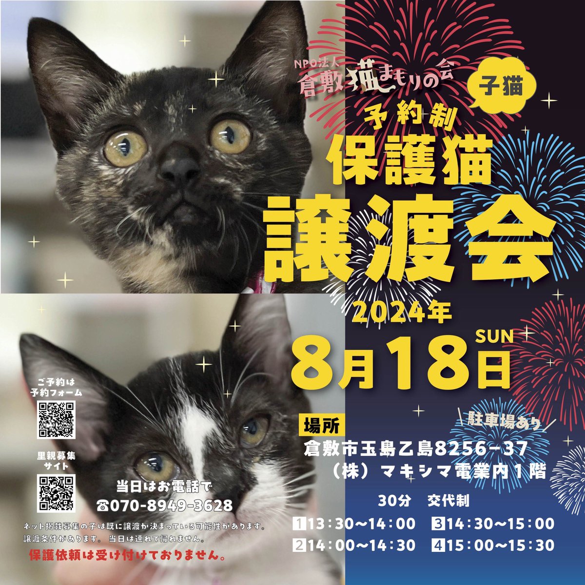 KuranekoMamo's tweet photo. #里親募集 #拡散希望 #譲渡会
😺保護猫子猫の譲渡会 😺
2024年８月18日（日）
倉敷市玉島乙島8256-37
㈱マキシマ電業内1階
🅿️あり雨天決行
⏰13時半〜15時半
30分交代制
ご予約
☎️ 070-8949-3628
当日13時まで↓
https://t.co/i4wPQUBV6b
#保護猫
#子猫
#岡山 https://t.co/jpN8WQEHsA