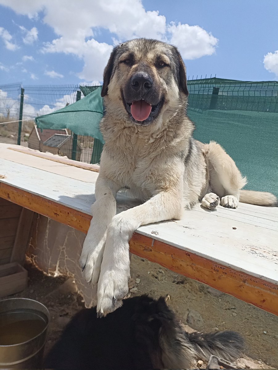 Kapalı kapılar arkasında öldürmeye and içilmiş
Vicdansizliginizla yüzleşecek 
Bunu halka gösterecek cesaretiniz yok ama biz biliyoruz sizleri
Kimlerin eline kan bulaşıyor 
Biliyoruz! 
#YASAYIGERİÇEK
#komisyonuhalkaaç