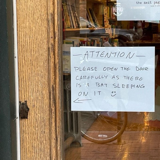 A bookshop door photographed  in Canada 📷
photo : @ George Ferzoco