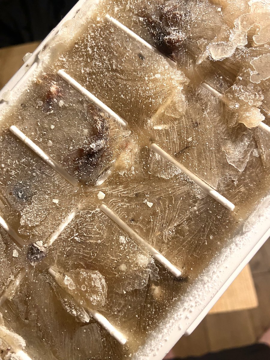 鹿骨を圧力鍋でボーンブロスにした🦴
製氷機でキューブにして1日2、3個飲むのだけど、
味噌汁にキューブ2個入れてミルク最後に足して青紫蘇散りばめて天日塩パラリの即席極上スタミナスープにハマってる。
今日はキャベツ油揚げ舞茸の味噌汁ベース🫕美味しいよ😋
明日夕方までの追い込み仕事頑張れる💪