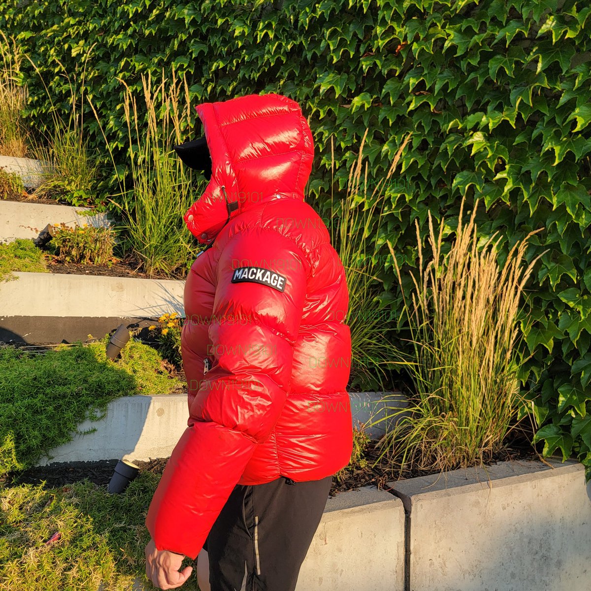 down19101 tweet media