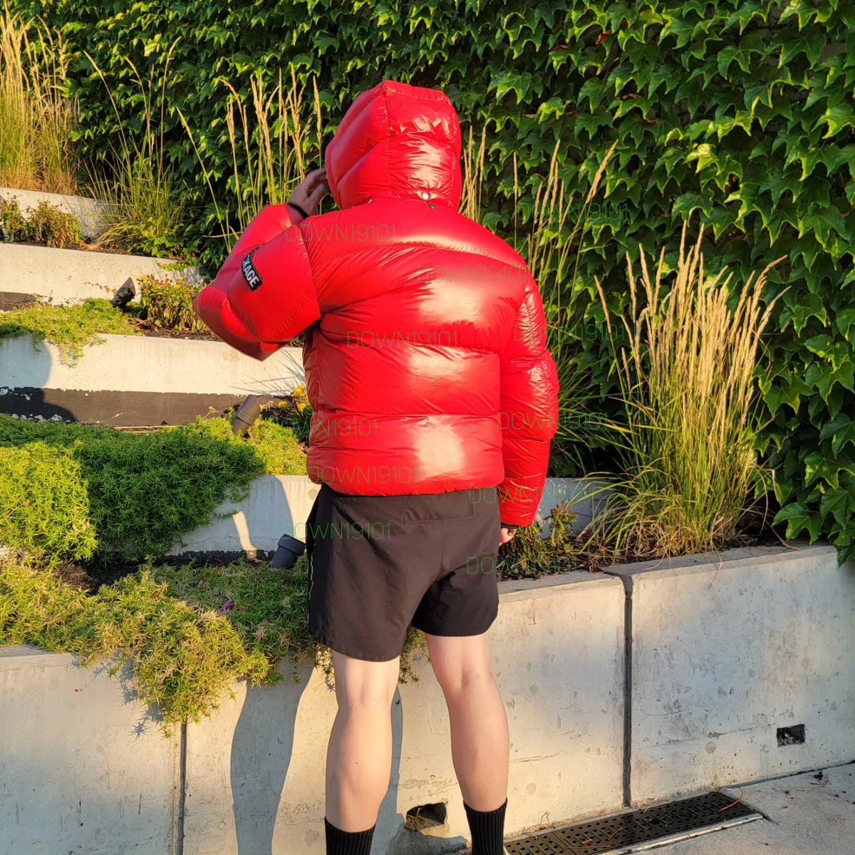 down19101 tweet media