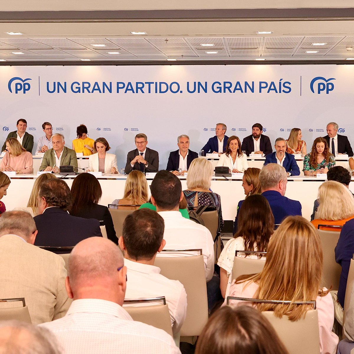 alferma1's tweet photo. Ante la parálisis del Gobierno de Sánchez y sus ataques al Estado de Derecho, el @ppopular con @NunezFeijoo ofrece una alternativa sólida y eficaz para devolver a los españoles la ilusión y las libertades recortadas. https://t.co/huxlSXhBI6