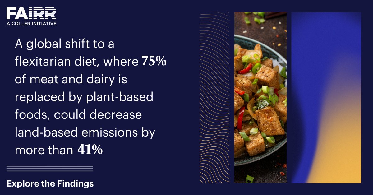 #AlternativeProtein sources are key tools for addressing climate, nature and public health risks 🌿

Food retailers are increasingly recognising the benefits of protein diversification - but more still needs to be done.

Learn more  ⬇️
fairr.org/resources/repo…