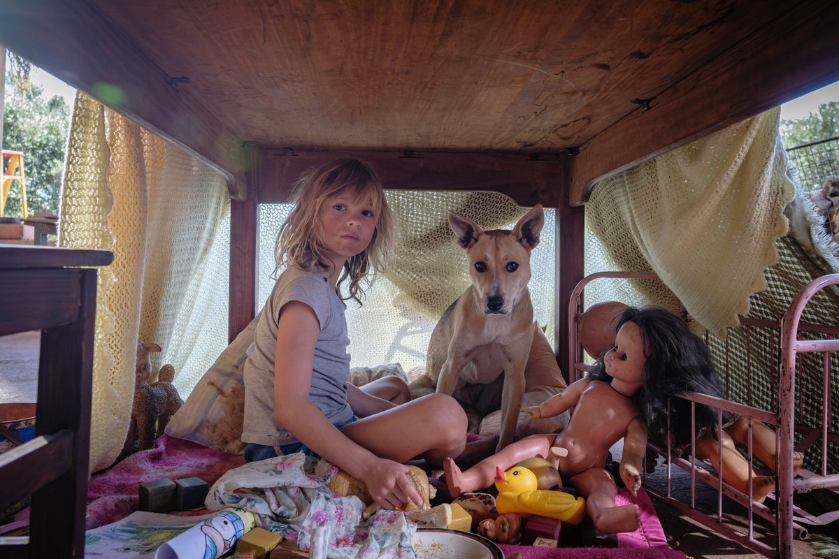 #TIFF24 Canadian Premiere: Embeth Davidtz’s DON’T LET’S GO TO THE DOGS TONIGHT starring Lexi Venter, Embeth Davidtz, <a href="/Zikhona_Bali/">Zikhona Bali</a>, Fumani Shilubana, <a href="/RobVanVuuren/">Namaste Bae</a>, and Anina Rheed.

tiff.net/events/dont-le…