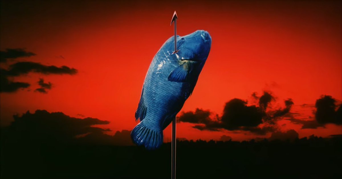 Justin Whang 🐙 tweet media