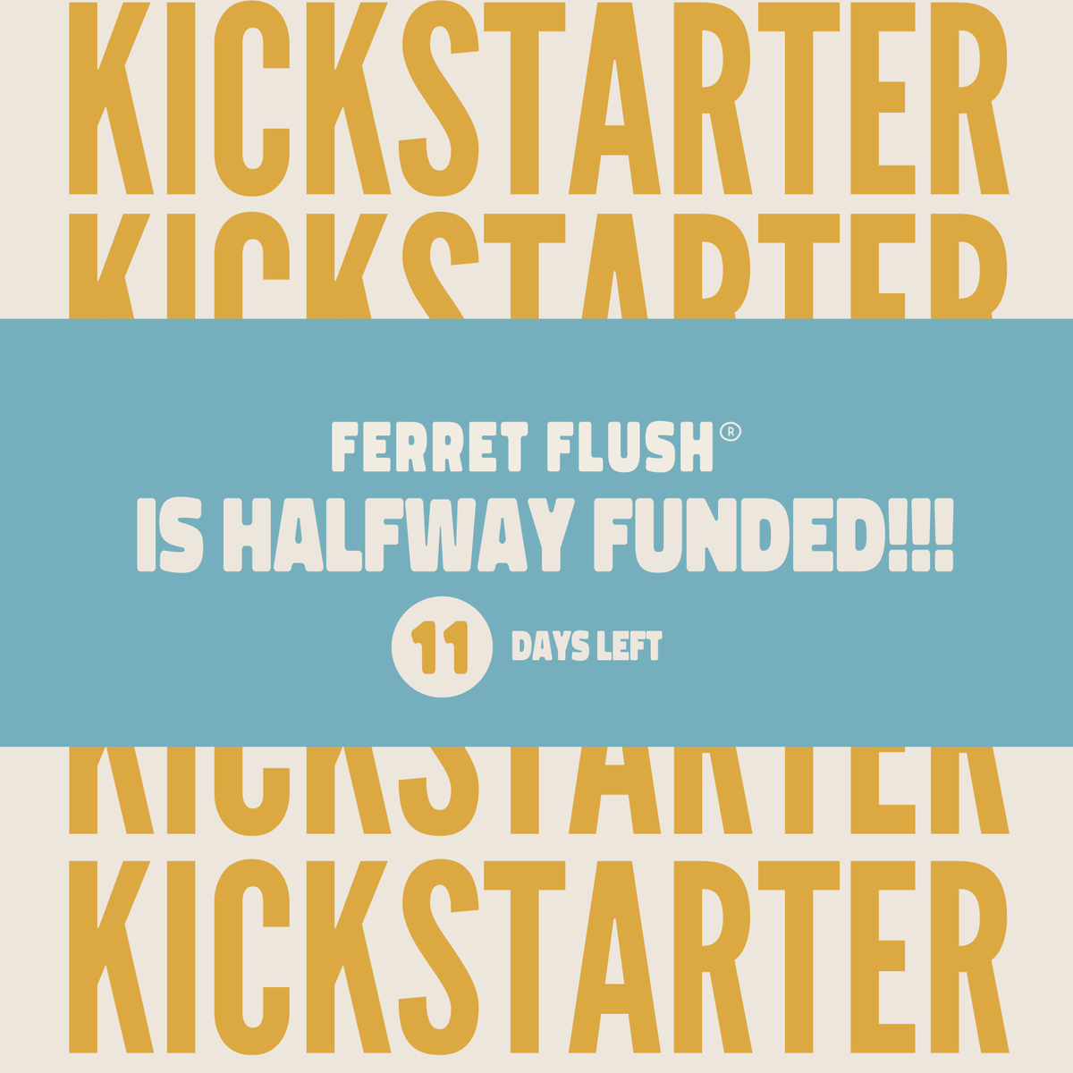 Halfway to our @kickstarter funding goal! Motivated to exceed the gap in 11 days! 

Campaign ends August 2. Back us kickstarter.com/projects/bviol…

#ferretflush #ferretout #cardgame #kickstarter #halfway#fundinggoal #backmeup