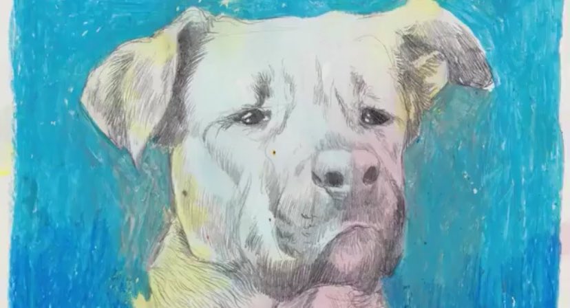 Bu kaos neden?
Çıkar‼️ #yasadeğilcinayet #YasayiGeriCek