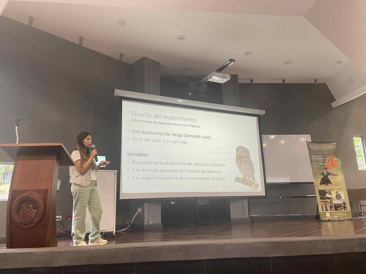 Nati_SanchezU's tweet photo. Honored to be one of the plenary speakers at the
VII Congreso Costarricense de Ornitología #cienciatica
I talked about sparrows, wrens, songs, predation, and nocturnal flight calls 🎶🐦🦉Projects in 🇨🇷🇨🇦 with @DMennill https://t.co/7T7b4D62KV