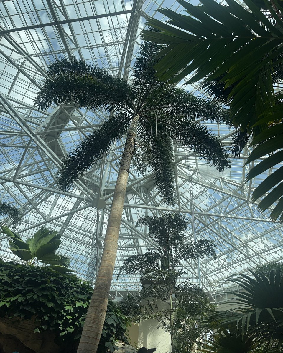 Laura Prymak tweet media