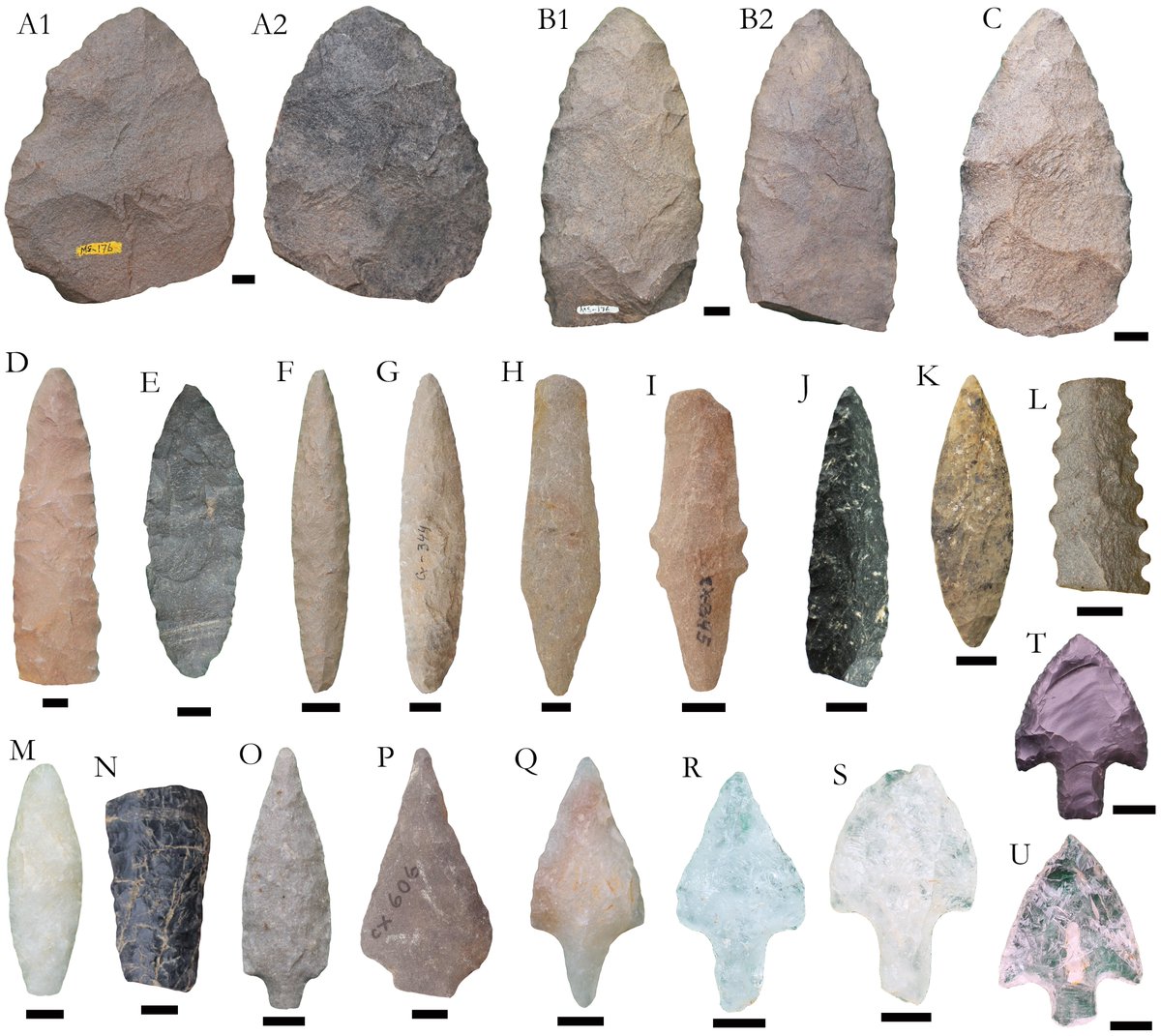 1. DIVERSIDAD TECNOLÓGICA EN PROYECTILES DEL  CUATERNARIO EN EL NORTE DE VENEZUELA.

Jaimes, Carrillo-Briceño, De Jesús, Martín La Riva, Sánchez-Villagra

En: Contribuciones en Venezuela Arqueológica  Sánchez-Villagra, Carrillo-Briceño, Jaimes y Arvelo.

zenodo.org/records/110711…