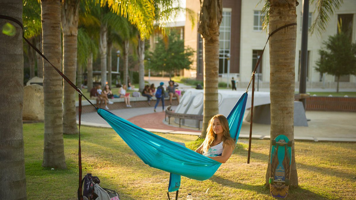 Happy #NationalHammockDay from "Hammock Island" on UCF's Memory Mall.🌴Enjoy some R&amp;R under a palm tree today but stay hydrated... it's a hot one!🌞