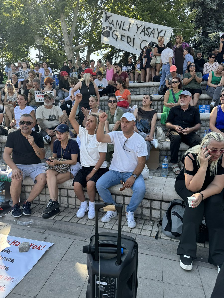 ankarapatiliky's tweet photo. Tüm Ankara’yı anıtparka bekliyoruz neredesiniz…. https://t.co/KXyP72Kxsw