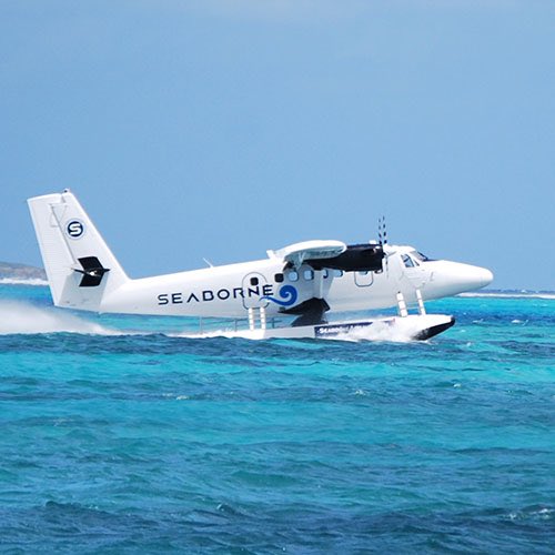 Alex Alecci tweet media