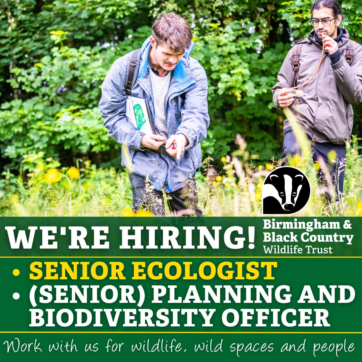 📢We're hiring! We're looking for a Senior Ecologist and a (Senior) Planning and Biodiversity Officer to help us deliver vital work protecting nature across our urban landscape. If you're passionate about nature's recovery, click to apply by 16th August: careers.bbcwildlife.org.uk