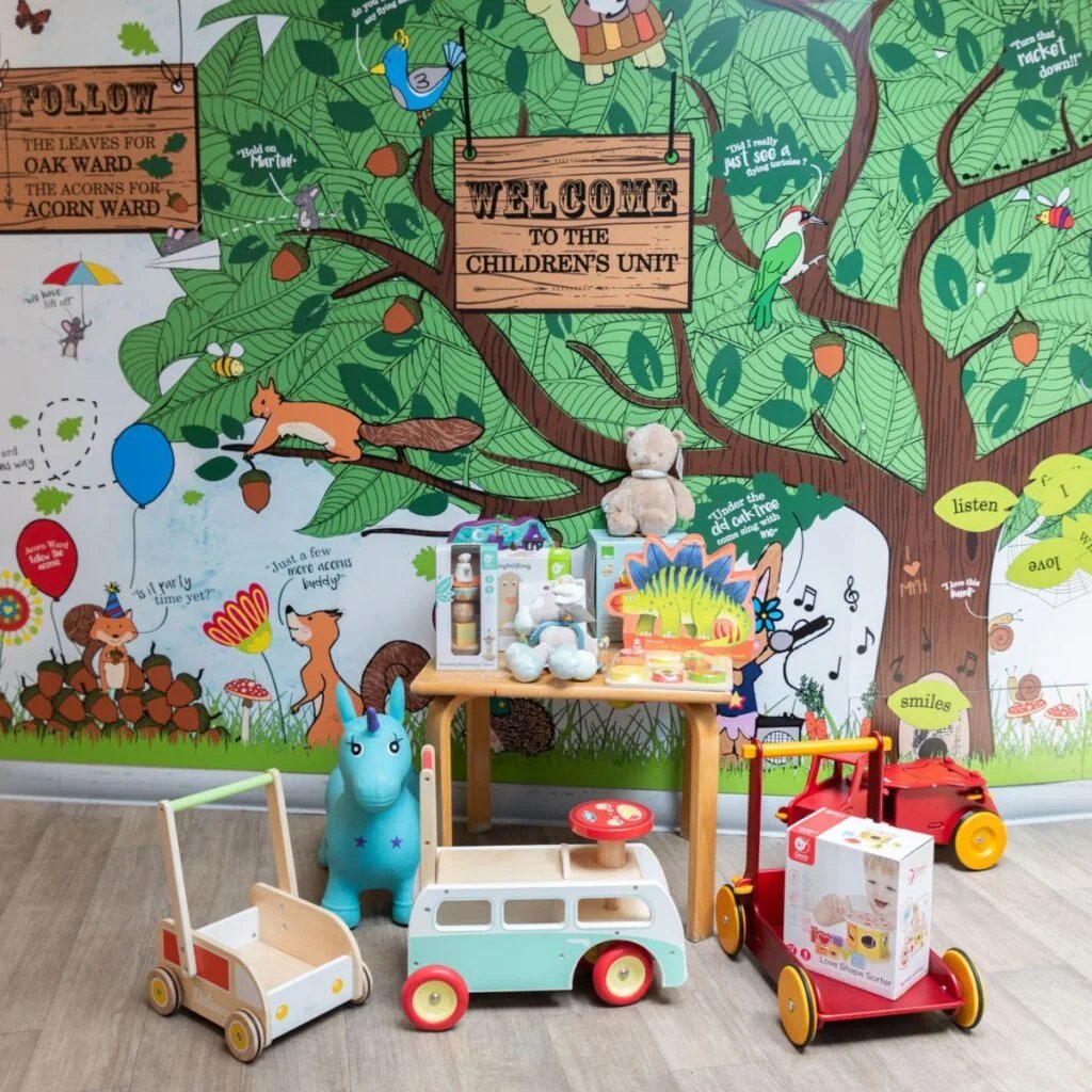 You may have already heard the good news that Hippychick, a family business devoted to the needs of babies and toddlers, have decided to channel their fundraising efforts in their 25th year in business, via the charity, Love Musgrove, to our Paediatric Department.  Thank you! ❤️