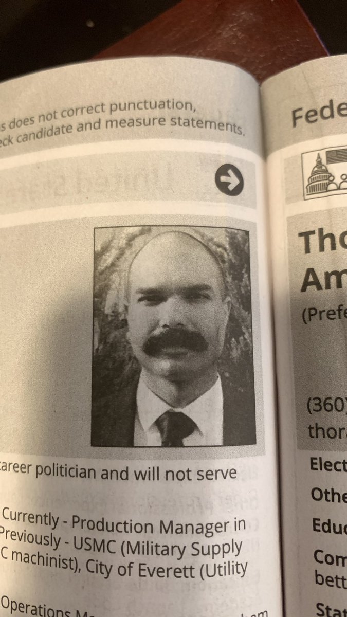 From our local voter’s pamphlet. Looks like someone got access to photoshop and a mustache disguise kit!