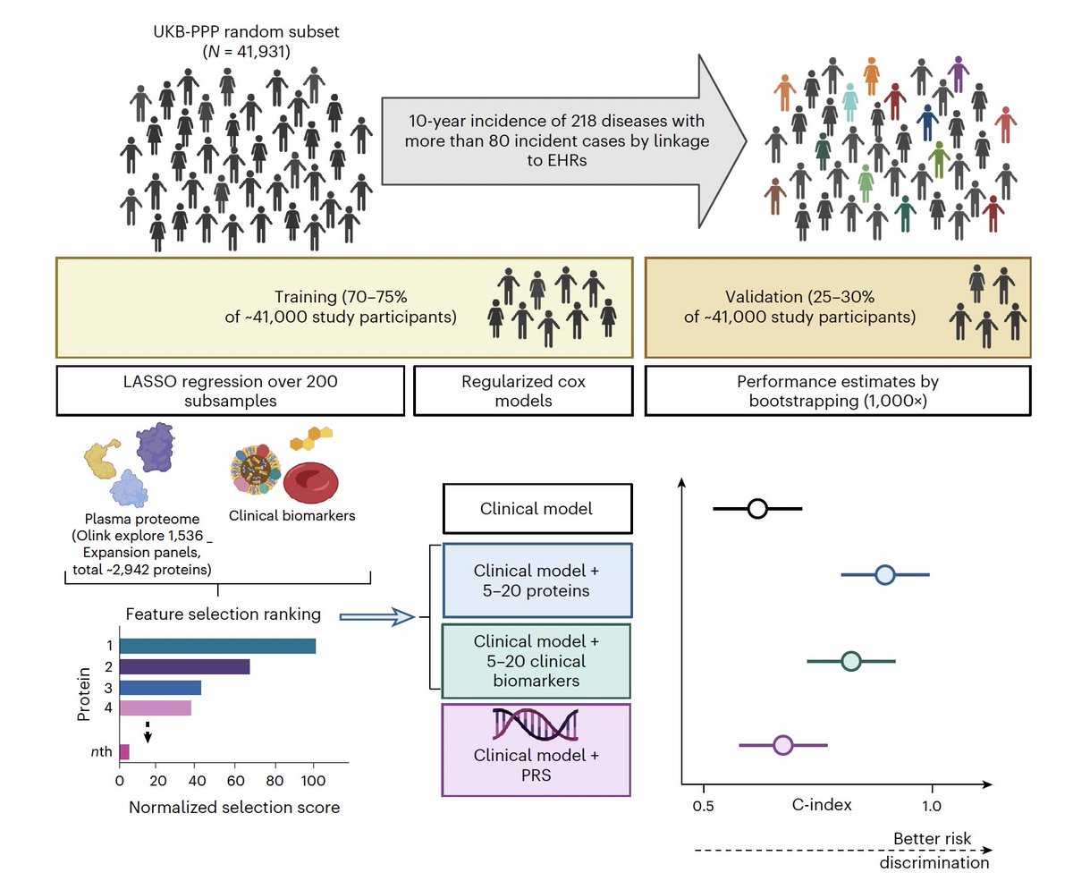 Eric Topol (@erictopol) on Twitter photo Proteins, proteins, proteins.
How 3,000 blood proteins can help predict 10-year risk of >200 common and rare diseases, beyond genomic markers
nature.com/articles/s4159…
<a href="/uk_biobank/">UK Biobank</a> <a href="/NatureMedicine/">Nature Medicine</a> Proteins, proteins, proteins.
How 3,000 blood proteins can help predict 10-year risk of >200 common and rare diseases, beyond genomic markers
nature.com/articles/s4159…
<a href="/uk_biobank/">UK Biobank</a> <a href="/NatureMedicine/">Nature Medicine</a>