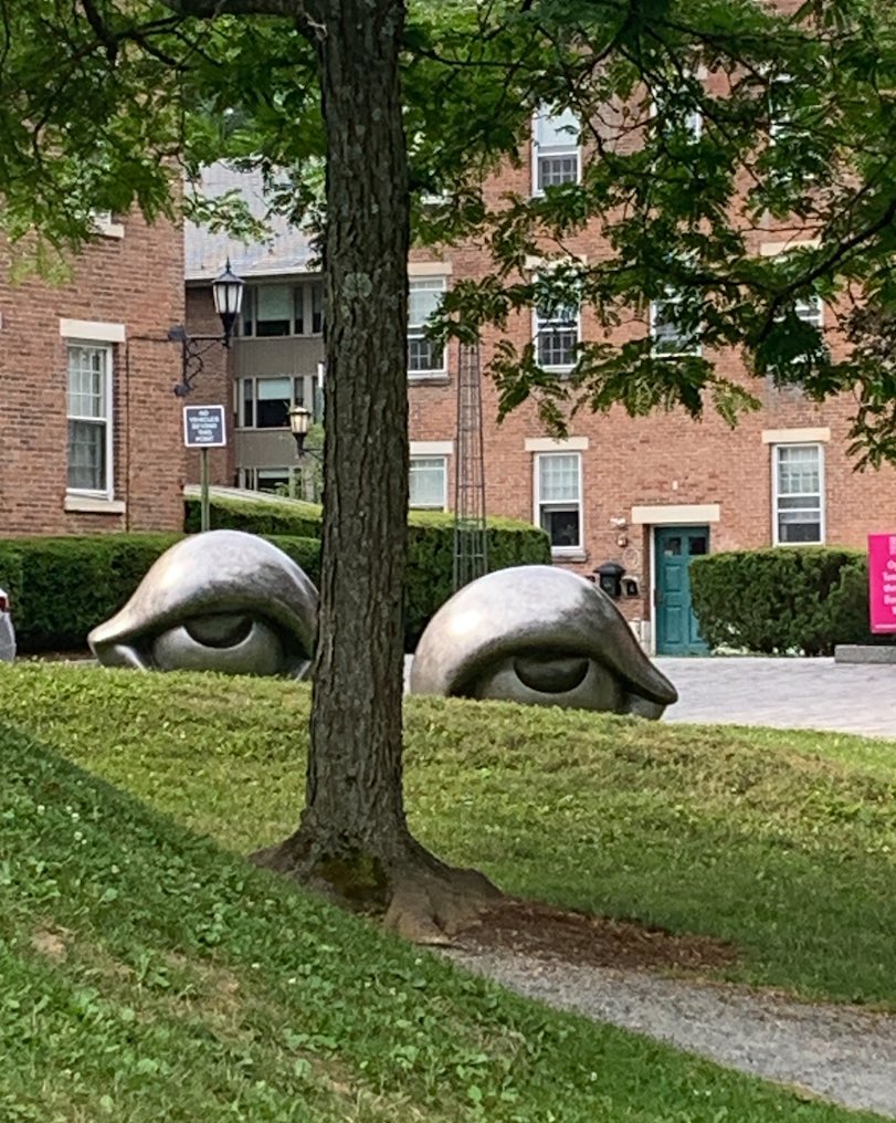 l_kabat's tweet photo. Love these! Just wish I saw them glow at night ! Williams College Art Museum #HAYNation #LittleSchoolBigHeart https://t.co/n7s7RzTiCX