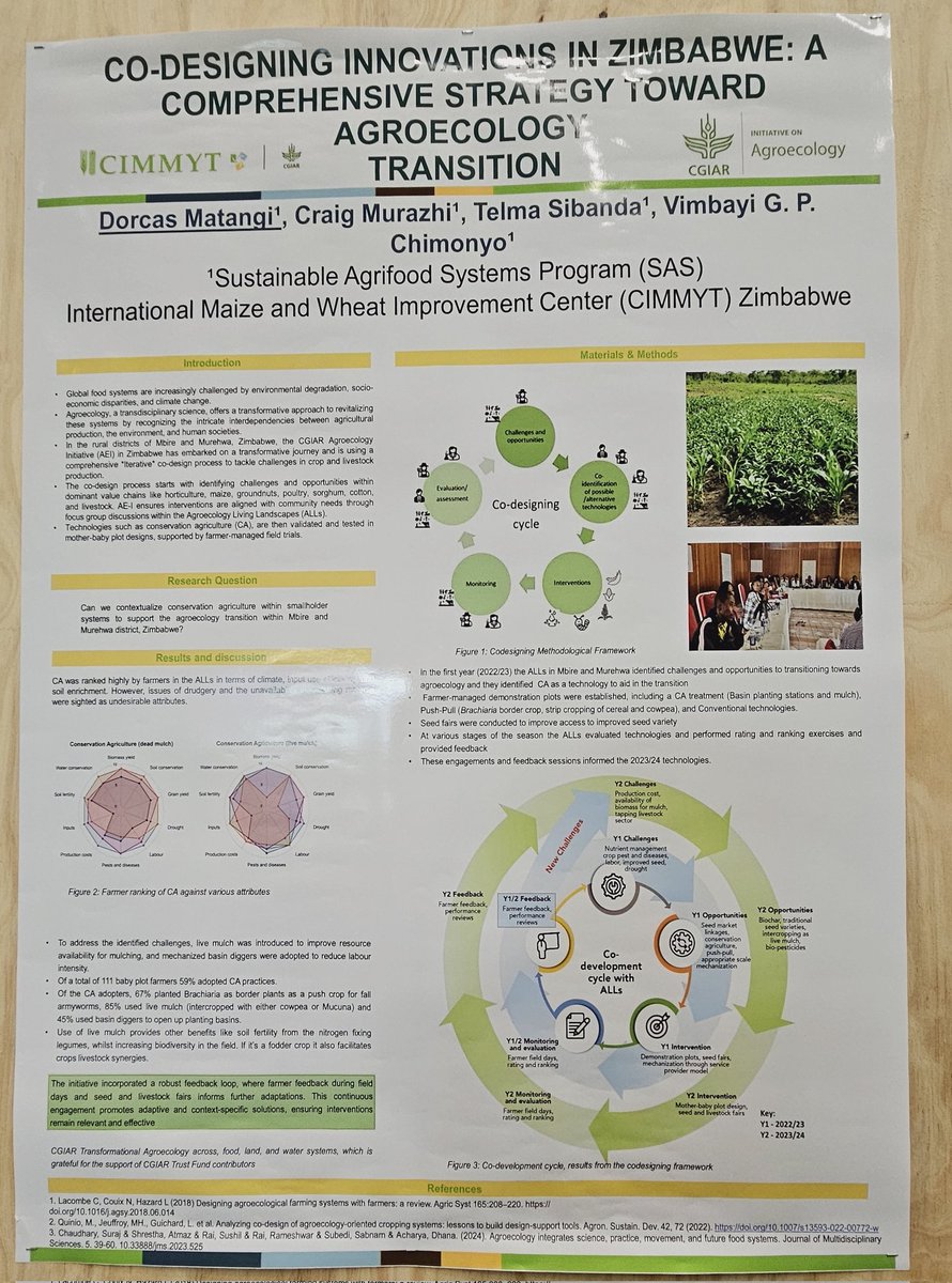 Telma Sibanda tweet media